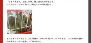 ブログ画面